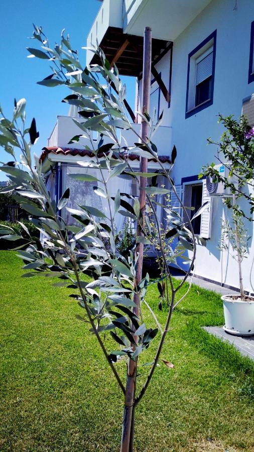 Zephyros Family Apartments 1 Ormos Panagias Exterior photo